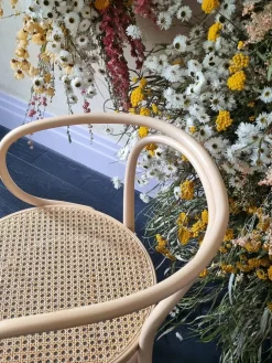 Thonet 209 Armstol, bøg fra><noscript><img width=