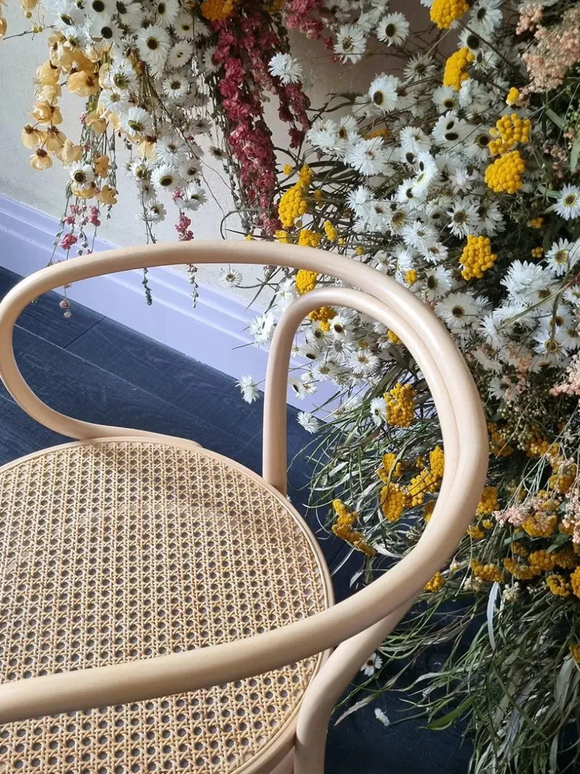 Thonet 209 Armstol, hvid fra> Spisebordsstole