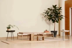 Mater Bowl table coffee waste light fra><noscript><img width=