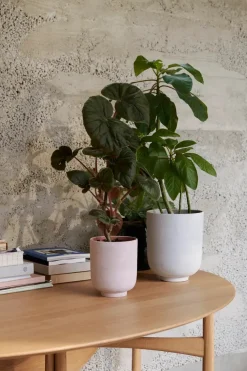 &Tradition Collect Planter SC70 fra><noscript><img width=