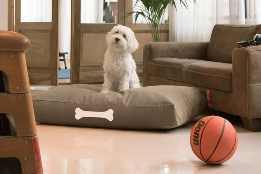 Fatboy Doggielounge L Canvas Recycled - Hundekurv fra> Sækkestole