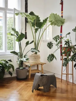 Vitra Eames Elephant, 75 års jubilæumsudgave fra> Figurer