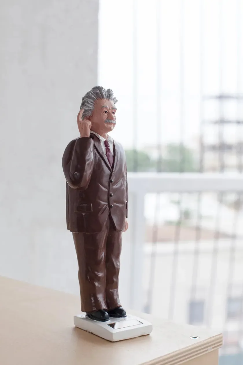 Kikkerland Solar Einstein> Figurer