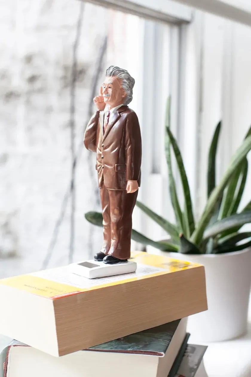 Kikkerland Solar Einstein> Figurer