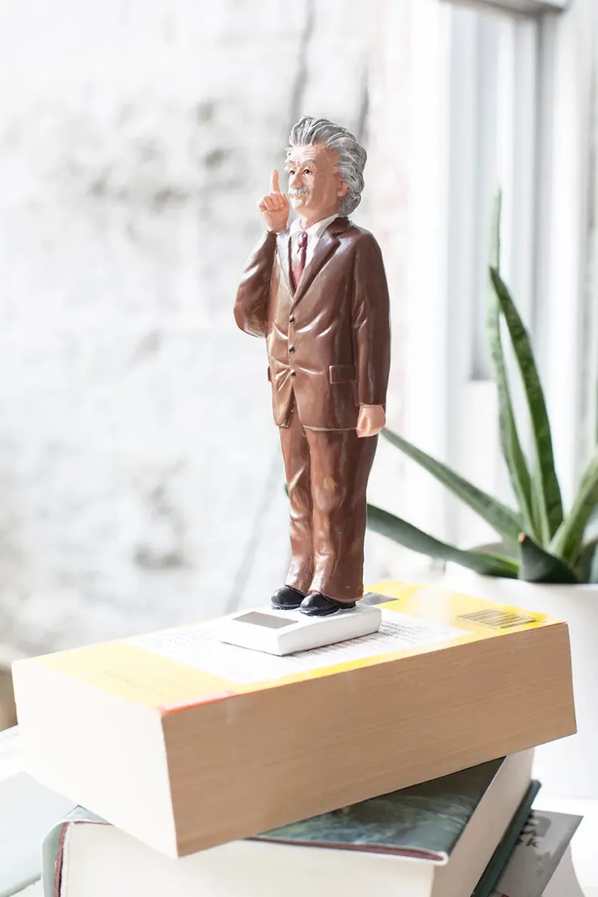 Kikkerland Solar Einstein> Figurer