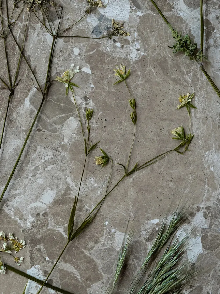 Wabi Sabi Nordic Konkylie Sofabord fra> Sofaborde