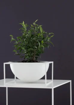 Audo Copenhagen Kubus Bowl Centerpiece Large, guldbelagt fra><noscript><img width=