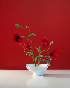 Hein Studio Nami Bowl Large fra><noscript><img width=
