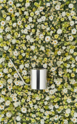 Stelton Original vandkande, 1,7 l fra><noscript><img width=
