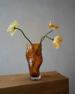Hein Studio Ostrea Vase, rust fra><noscript><img width=