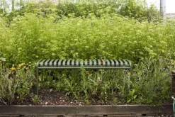 HAY Palissade Bench, olive fra><noscript><img width=