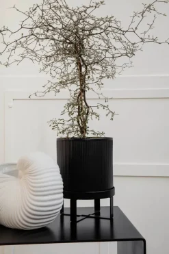 Ferm Living Shell Pot fra><noscript><img width=