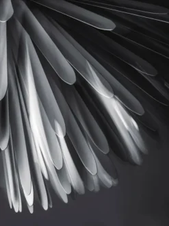 Foscarini Sun - Light of Love Pendel fra><noscript><img width=
