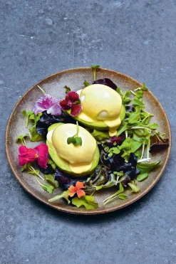 New Mags The Avocado Book fra><noscript><img width=