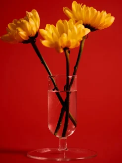 HAY Tiny Vase fra><noscript><img width=